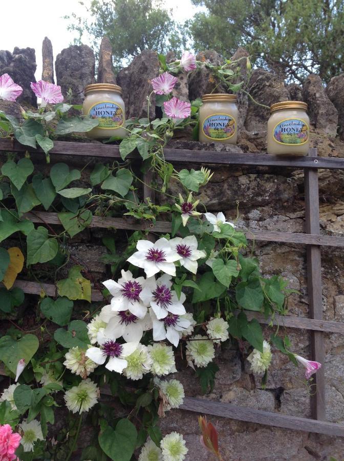 The Oak Lodge, Clematis Cottages, Stamford Bagian luar foto